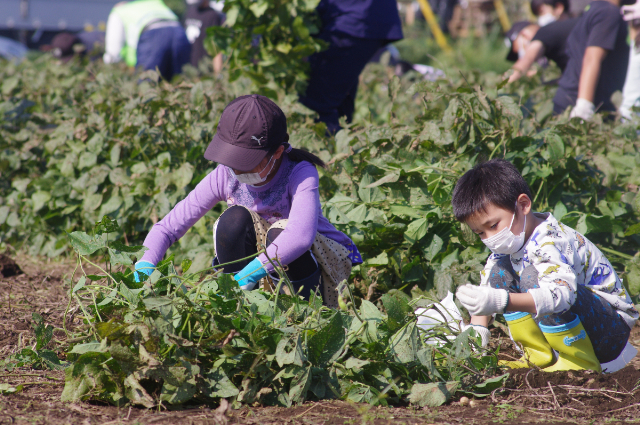 まち協農園収穫祭